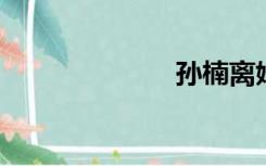 孙楠离婚的原因