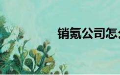 销氪公司怎么样（销氪）