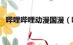 哔哩哔哩动漫国漫（哔哩哔哩动漫排行榜）