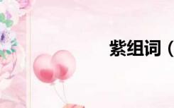 紫组词（紫组词）