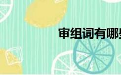审组词有哪些（审组词）