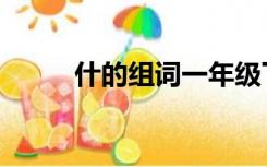 什的组词一年级下册（什的组词）
