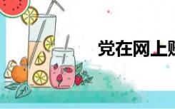 党在网上赚钱的方法