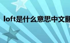 loft是什么意思中文翻译（loft是什么意思）