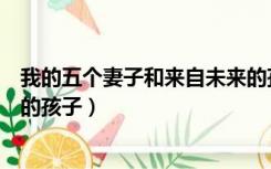 我的五个妻子和来自未来的孩子（我的五个妻子和来自未来的孩子）