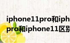 iphone11pro和iphone12 pro（iphone11pro和iphone11区别）