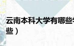 云南本科大学有哪些学校（云南本科大学有哪些）