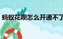 蚂蚁花呗怎么开通不了（蚂蚁花呗怎么开通）