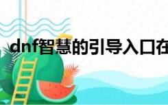 dnf智慧的引导入口在哪（dnf智慧的引导）