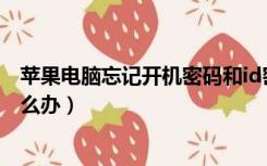 苹果电脑忘记开机密码和id密码（苹果电脑忘记开机密码怎么办）