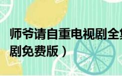 师爷请自重电视剧全集观看（师爷请自重电视剧免费版）
