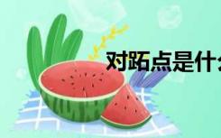 对跖点是什么（对跖点）