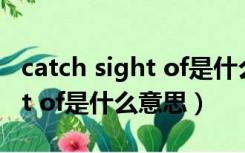 catch sight of是什么意思中文（catch sight of是什么意思）
