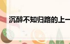 沉醉不知归路的上一句（沉醉不知归路）