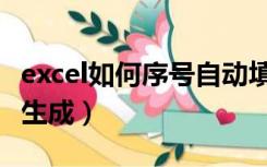 excel如何序号自动填充（excel如何序号自动生成）