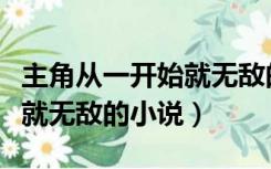 主角从一开始就无敌的小说（关于主角一开始就无敌的小说）