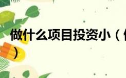 做什么项目投资小（做什么项目投资小又赚钱）