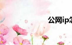 公网ip怎么申请