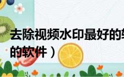 去除视频水印最好的软件（去除视频水印最好的软件）