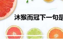 沐猴而冠下一句是什么（沐猴而冠）