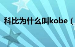 科比为什么叫kobe（科比为什么叫黑曼巴）