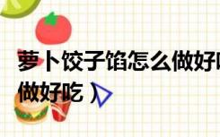 萝卜饺子馅怎么做好吃素馅（萝卜饺子馅怎么做好吃）