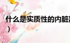 什么是实质性的内脏器官（什么是实质性程序）