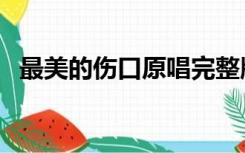 最美的伤口原唱完整版（最美的伤口原唱）