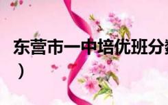 东营市一中培优班分数线（东营市一中分数线）