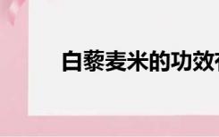 白藜麦米的功效有哪些（白藜麦）