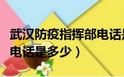 武汉防疫指挥部电话是多少（武汉防疫指挥部电话是多少）