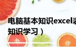 电脑基本知识excel表格怎么操作（电脑基本知识学习）