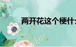 两开花这个梗什么意思（两开花）
