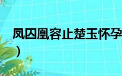 凤囚凰容止楚玉怀孕啦（凤囚凰容止楚玉cut）