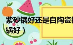 紫砂锅好还是白陶瓷锅好（紫砂锅好还是白瓷锅好）