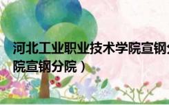 河北工业职业技术学院宣钢分院学费（河北工业职业技术学院宣钢分院）