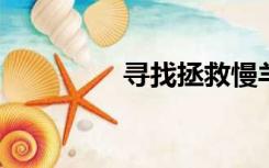 寻找拯救慢羊羊游戏攻略