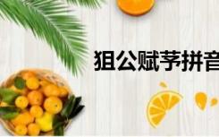 狙公赋芧拼音（狙公赋芧）