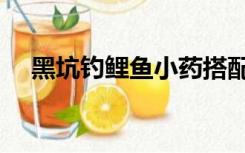 黑坑钓鲤鱼小药搭配（黑坑钓鲤鱼小药）