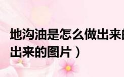 地沟油是怎么做出来的视频（地沟油是怎么做出来的图片）