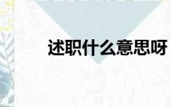 述职什么意思呀（述职什么意思）