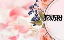 驼奶粉（驼奶）