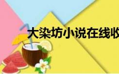 大染坊小说在线收听（大染坊小说）