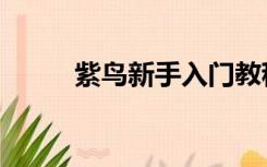 紫鸟新手入门教程（紫鸟关键词）