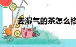 去湿气的茶怎么搭配（去湿气的茶）