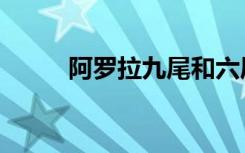 阿罗拉九尾和六尾（阿罗拉九尾）