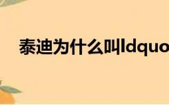 泰迪为什么叫ldquo泰国日本日本rdquo