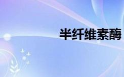 半纤维素酶（半纤维素）