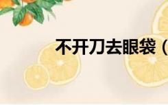 不开刀去眼袋（不开刀去眼袋）