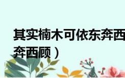 其实楠木可依东奔西顾txt（其实楠木可依东奔西顾）
